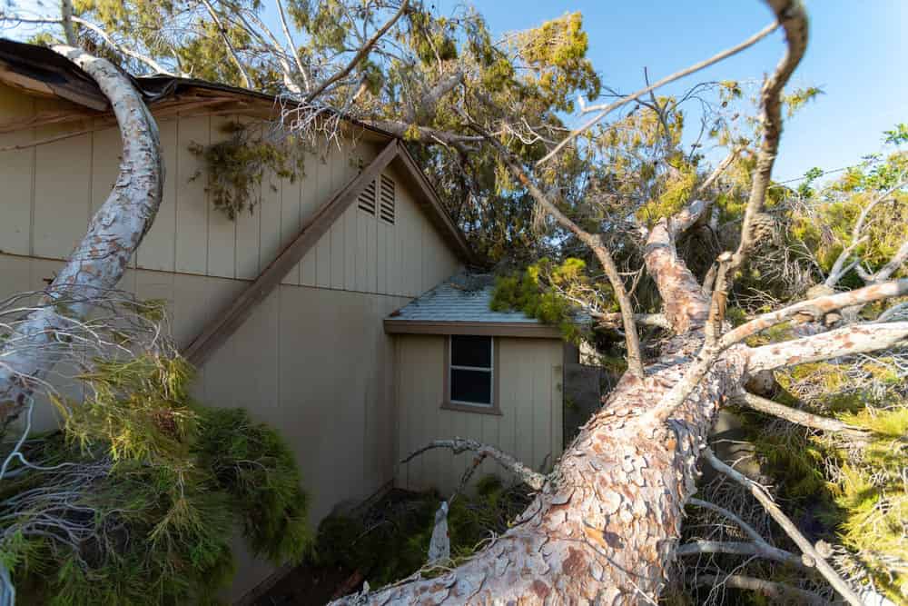 Storm Damage Repair image