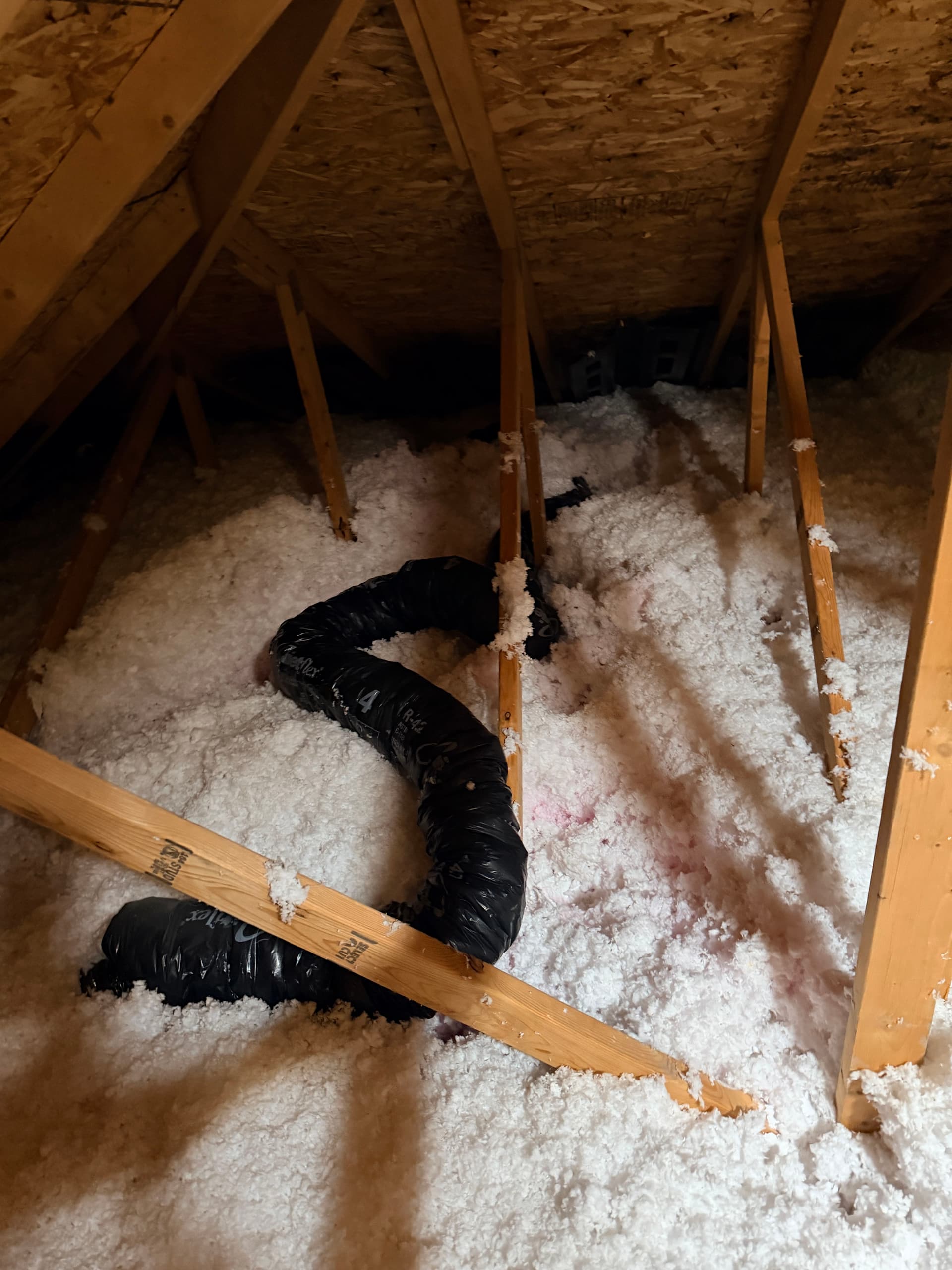 Bathroom Fan Venting Into the Attic Is a Hidden Roof Killer