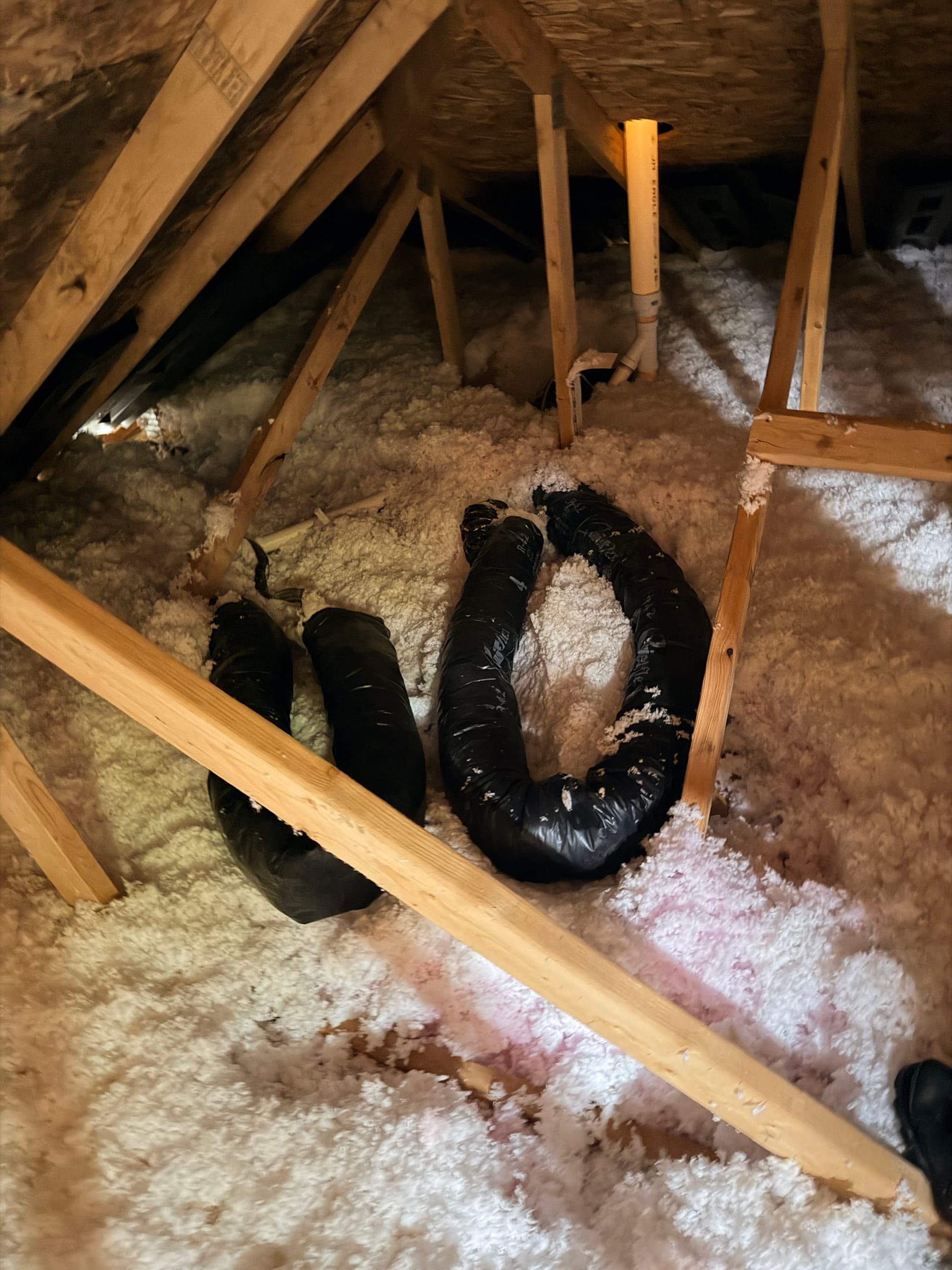 Gallery photos for Bathroom Fan Venting Into the Attic Is a Hidden Roof Killer: Image #3